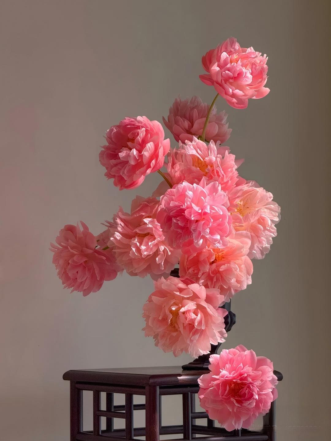 Sueños de Hortensias